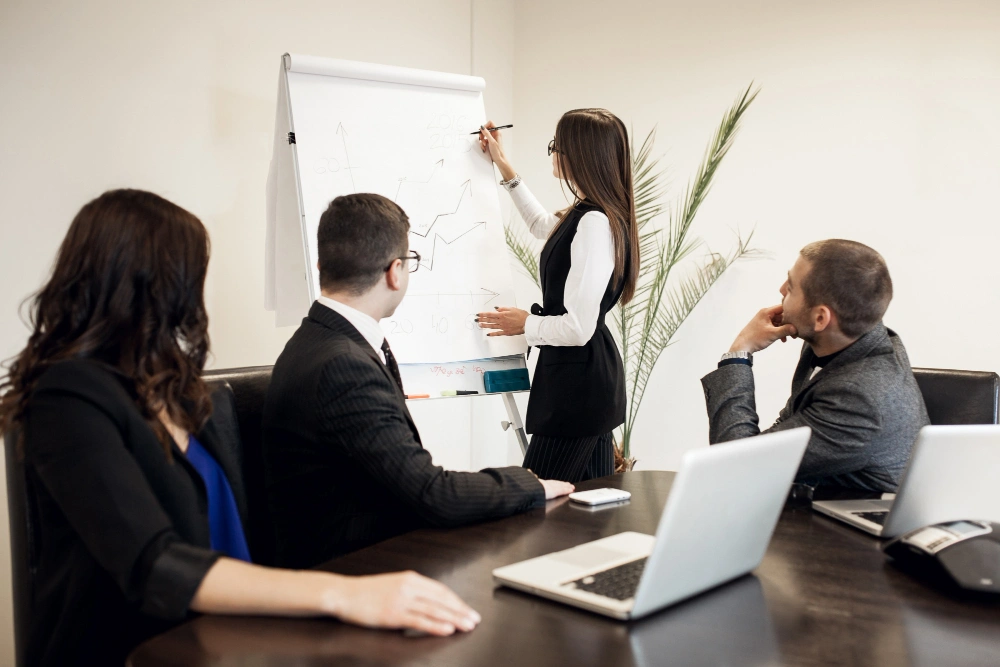 Consultancy Meeting